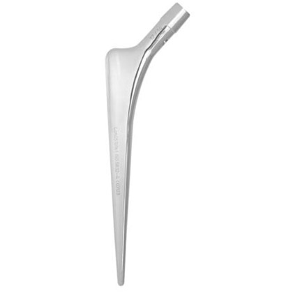 Troya Çimentolu Parlak Yüzey  Femoral Stem (Polished)