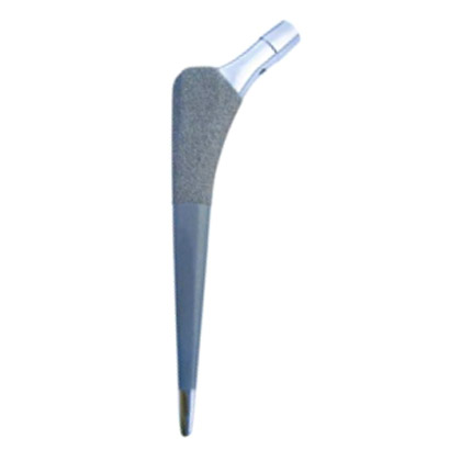 Troy Cementless Porous Coated Femoral Stem